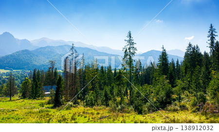 forest on the hill in mountain landscape in summer. beautiful countryside view with grassy pasture and tatra mountain ridge under blue sky on a sunny day. zakopane village in the valley. rural europe forest on the hill in mountain landscape in summer. beautiful countryside view with grassy pasture and tatra mountain ridge under blue sky on a sunny day. zakopane village in the valley. rural europe 138912032