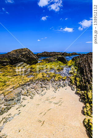 小魚が泳ぐ美しい磯と透明な海の風景 138912112