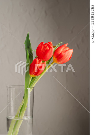 Spring flowers in a vase. A bouquet of fresh red tulips, birthday or easter background Spring flowers in a vase. A bouquet of fresh red tulips, birthday or easter background 138912268