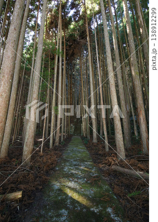 和歌山県串本町　牛頭神社　入口 138912299