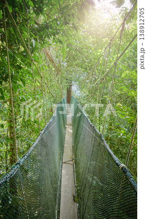 Rainforest canopy walkway, Borneo, Sabah, Malaysia. 138912705