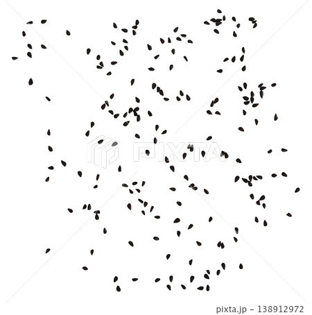 Black cumin seeds scattered isolated on white background, nigella spice top view Black cumin seeds scattered isolated on white background, nigella spice top view 138912972