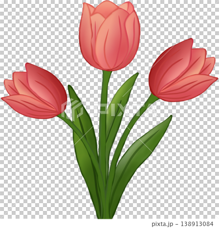 Pink tulips Pink tulips 138913084