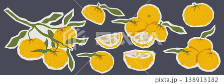 Hand drawn yuzu citrus sticker collection with fruits slices and leafy branches in asian style vector illustration with white outline on dark background for packaging logo icon set and food branding Hand drawn yuzu citrus sticker collection with fruits slices and leafy branches in asian style vector illustration with white outline on dark background for packaging logo icon set and food branding 138913182