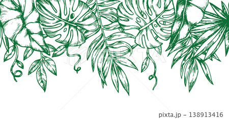 Seamless horizontal border with tropical palm and monstera leaves. vector illustration in sketch style 138913416