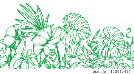Seamless horizontal border with tropical palm and monstera leaves. vector illustration in sketch style 138913417