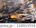 branches and logs burning in a campfire in the park, night time 138913558