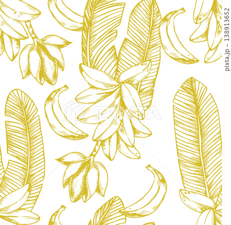 seamless pattern with tropical banana palm leaves. vector illustration in sketch style 138913652