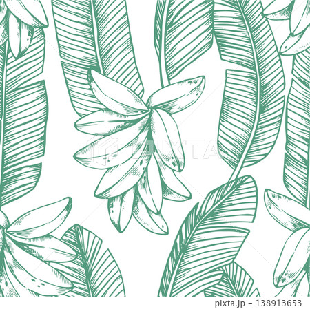 seamless pattern with tropical banana palm leaves. vector illustration in sketch style seamless pattern with tropical banana palm leaves. vector illustration in sketch style 138913653
