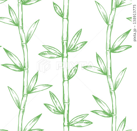 Seamless tropical pattern with bamboo. vector illustration in sketch style 138913775