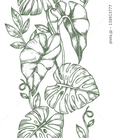 Seamless border with tropical palm and monstera leaves. vector illustration in sketch style Seamless border with tropical palm and monstera leaves. vector illustration in sketch style 138913777