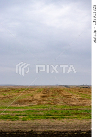 agricultural field sown with agro crops, view of field after harvesting, winter wheat. agricultural field sown with agro crops, view of field after harvesting, winter wheat. 138913828