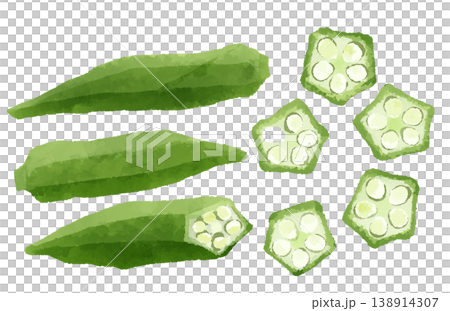 Hand-drawn watercolor-style illustration of okra. Hand-drawn watercolor-style illustration of okra. 138914307