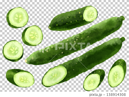 Cucumber illustration, hand-drawn, watercolor style. 138914308