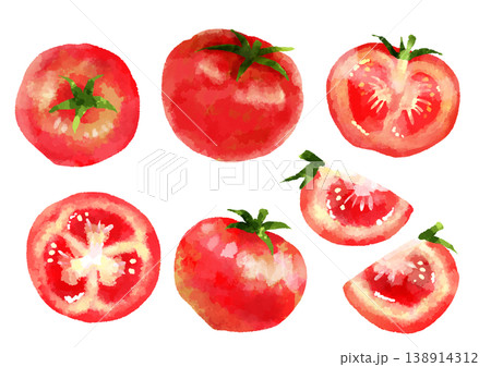 トマトのイラスト　手描き　水彩風 138914312