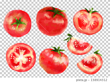トマトのイラスト　手描き　水彩風 138914312