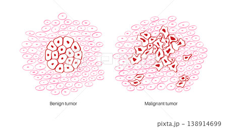 Cells structure sketch Cells structure sketch 138914699