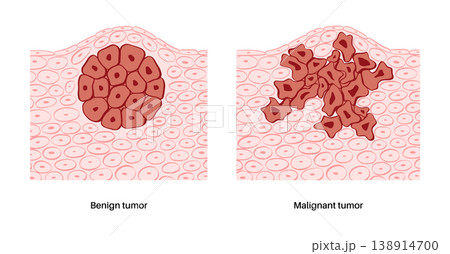 Cells structure sketch Cells structure sketch 138914700