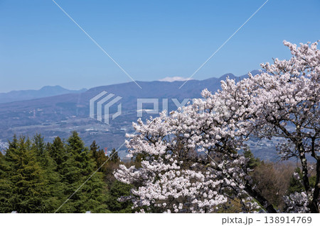 春の渋川市総合公園　群馬県 138914769