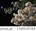 夜空に月が輝き夜桜とのコントラストが美しい春の宵 138914789