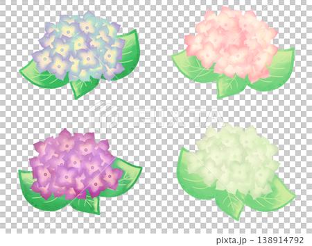 Illustration of hydrangea in watercolor style Illustration of hydrangea in watercolor style 138914792