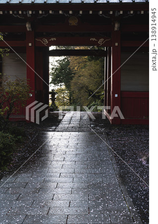 雨上がりの幻想的な風景 大雄山最乗寺 道了尊仁王門 雨上がりの幻想的な風景 大雄山最乗寺 道了尊仁王門 138914945