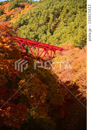 秋のJR釜石線（銀河ドリームライン釜石線）鬼ヶ沢橋梁 138915813
