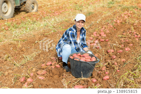 Woman farmer harvesting potato on farm field 138915815