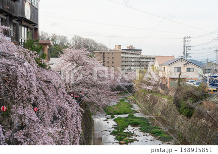 有馬川の桜のある風景 有馬川の桜のある風景 138915851