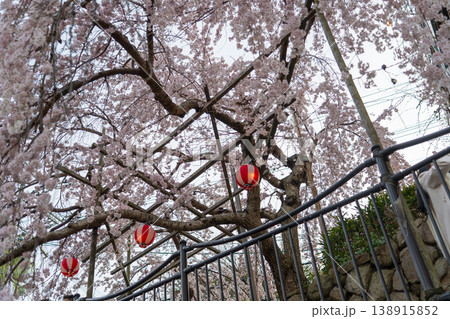 有馬川の桜のある風景 138915852