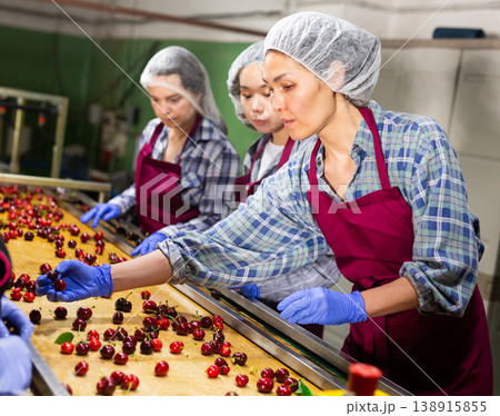 Women working on producing sorting line at fruit warehouse 138915855