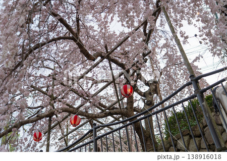 有馬川の桜のある風景 138916018