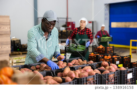 Hired food warehouse worker checks quality of the harvested potato crop Hired food warehouse worker checks quality of the harvested potato crop 138916158