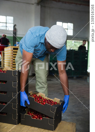 Man working in cherry warehouse Man working in cherry warehouse 138916168