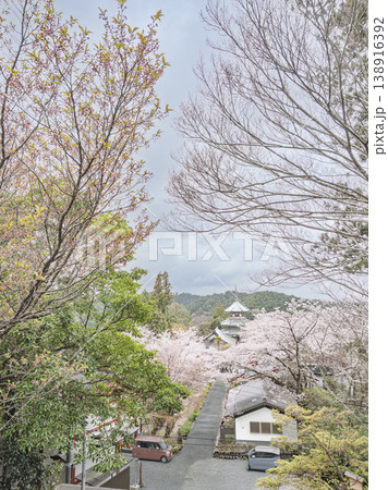 悠久の春に包まれて。吉野山を彩る桜の絶景 悠久の春に包まれて。吉野山を彩る桜の絶景 138916392