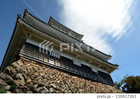 Gifu Castle towering at the top of Mt.kinka 138917261