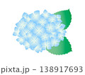 爽やかな青い紫陽花のイラスト 138917693