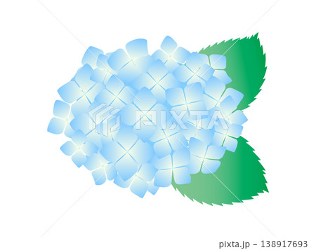 爽やかな青い紫陽花のイラスト 138917693