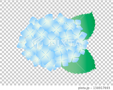 爽やかな青い紫陽花のイラスト 138917693