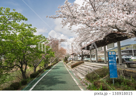 つくば霞ヶ浦りんりんロード・筑波休憩所・桜・日本の春 138918015