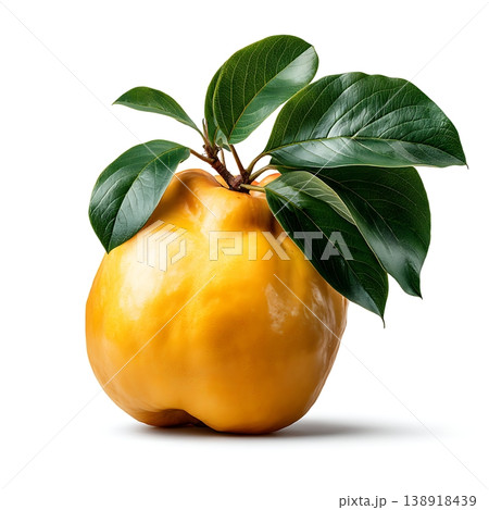 Ripe Quince Fruit with Green Leaves on White Background Perfect for Fresh Recipes and Food Styling 138918439
