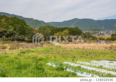 大津市仰木の田園風景 滋賀県 大津市仰木の田園風景 滋賀県 138918546