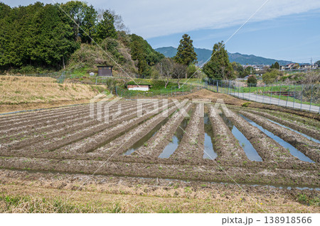 大津市仰木の田園風景　滋賀県 138918566
