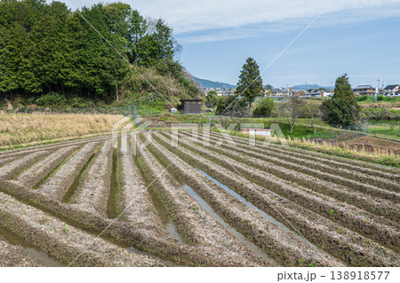 大津市仰木の田園風景　滋賀県 138918577