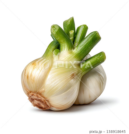 Fresh Green Onions with White Bulbs on a Bright Background for Culinary and Gardening Use Fresh Green Onions with White Bulbs on a Bright Background for Culinary and Gardening Use 138918645
