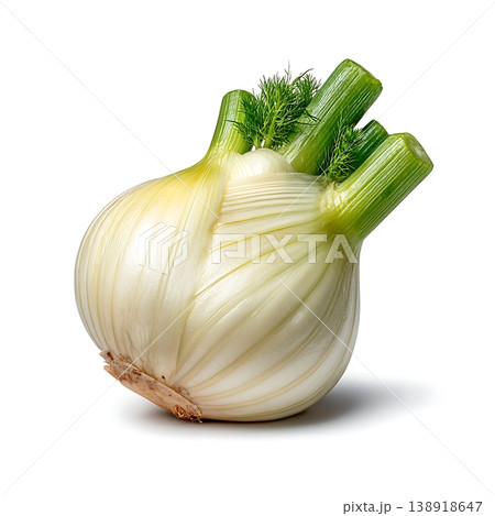 Fresh Fennel Bulb with Green Fronds on a White Background for Culinary Inspiration Fresh Fennel Bulb with Green Fronds on a White Background for Culinary Inspiration 138918647