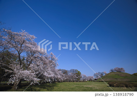 青い空と桜 138918790