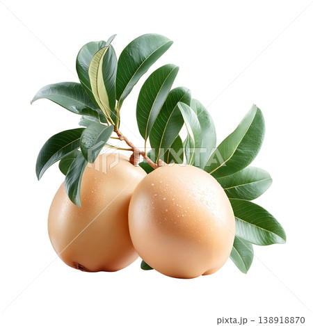 Fresh sapodilla fruit with green leaves on a white background showcasing natural beauty 138918870