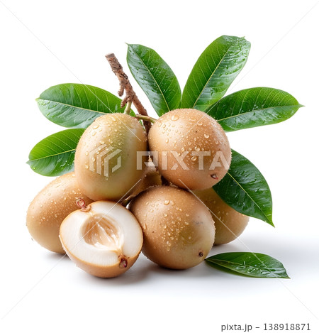 Fresh Sapodilla Fruits with Green Leaves and Water Droplets on White Background Fresh Sapodilla Fruits with Green Leaves and Water Droplets on White Background 138918871