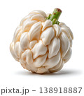 Unique and Unusual White Cabbage with a Distinctive Curved Shape and Smooth Surface Texture Unique and Unusual White Cabbage with a Distinctive Curved Shape and Smooth Surface Texture 138918887